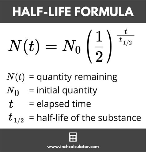 halving time equation